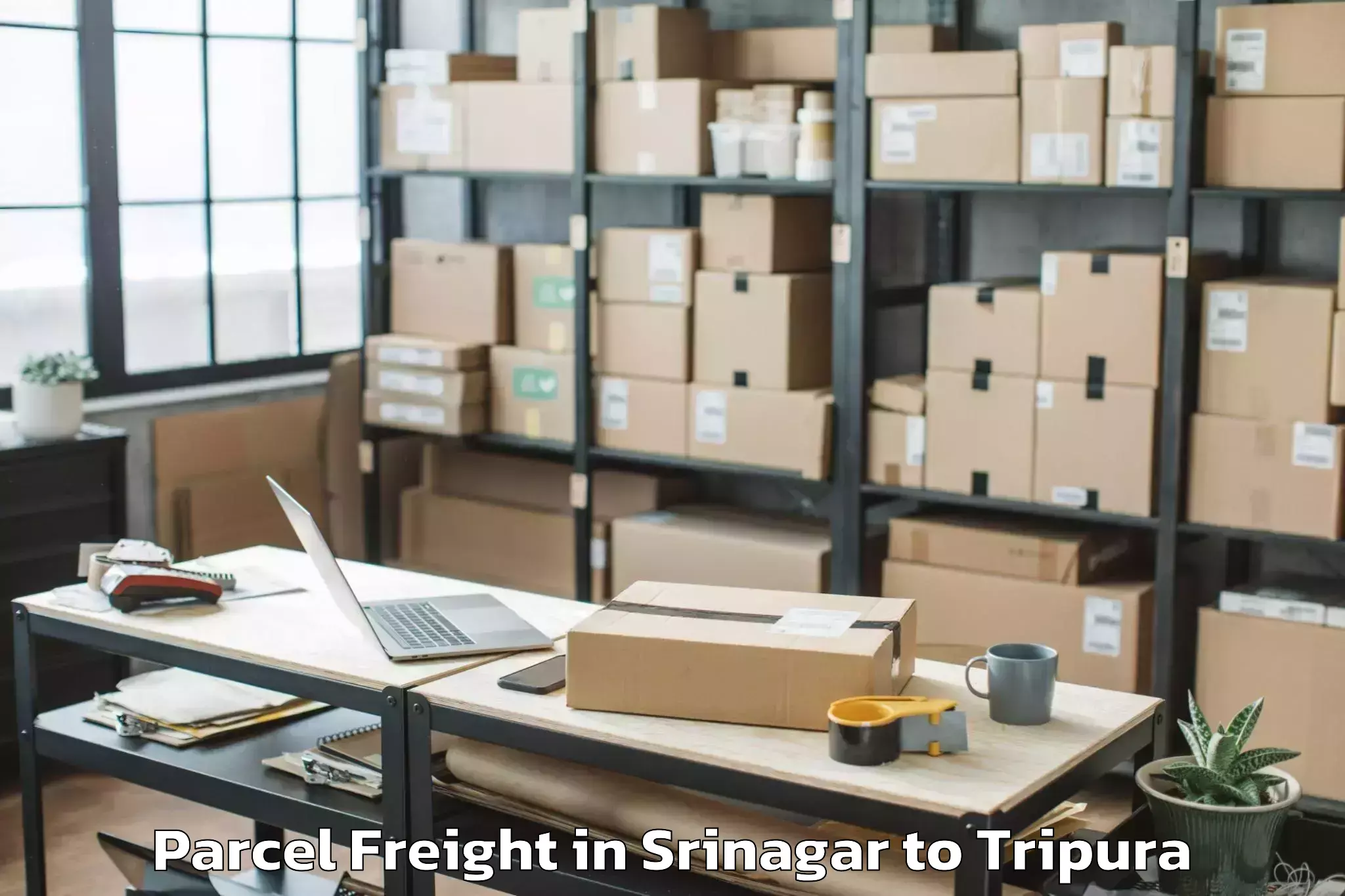 Book Srinagar to Agartala Parcel Freight Online